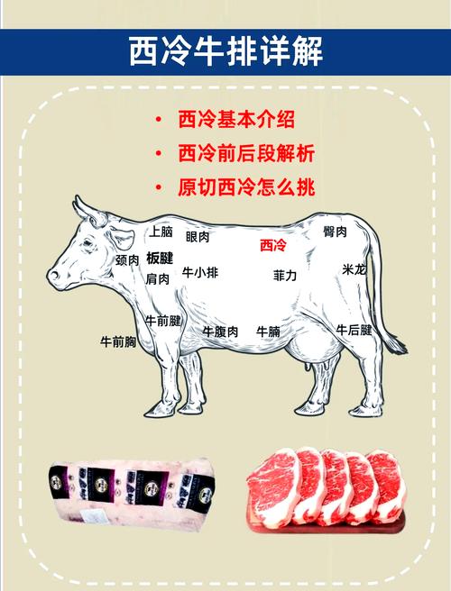 西冷牛排是哪个部位_西冷肉眼菲力牛排选购指南