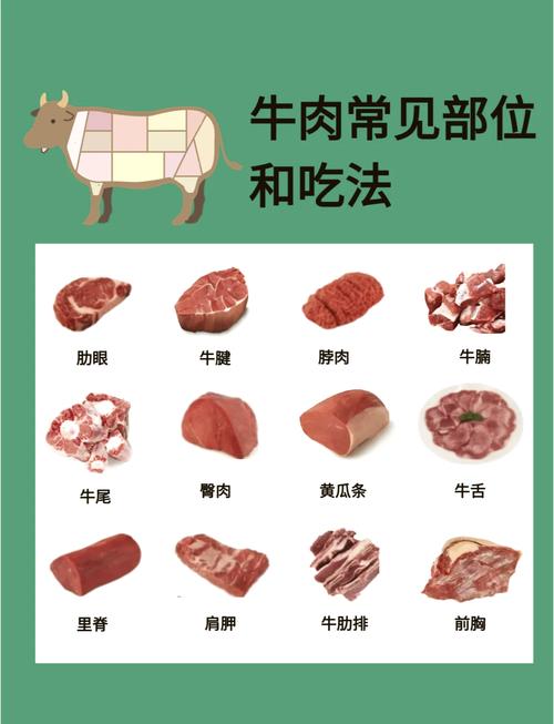 牛肉什么部位的肉最嫩_牛肉部位各不同,嫩香做法要看清! 牛肉什么部位的肉最嫩_牛肉部位各不同,嫩香做法要看清!