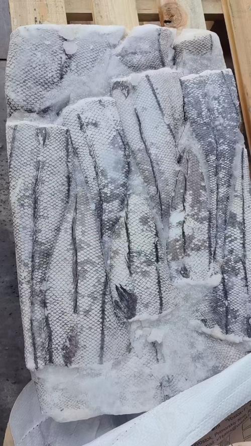 细鳞壮鳕是水鳕鱼吗_超市冷冻细鳞壮鳕不是鳕鱼,肉质差,不适合蒸煮和婴幼儿辅食 细鳞壮鳕是水鳕鱼吗_超市冷冻细鳞壮鳕不是鳕鱼,肉质差,不适合蒸煮和婴幼儿辅食