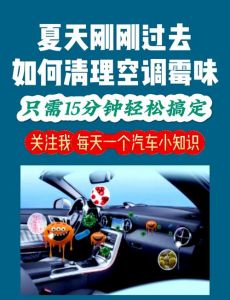 车内有腐烂肉臭味怎么去除_车内肉臭？通风清理加除味！