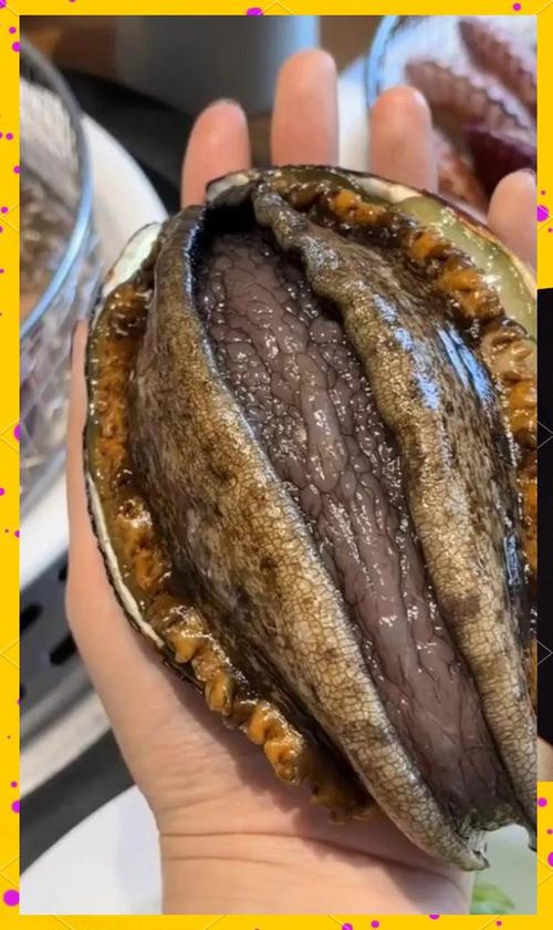 鲍鱼煮越久会越硬吗_干鲍先泡发，小火慢炖别太狠，壳可熬汤提鲜