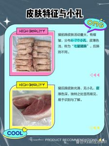 猪的前蹄后蹄怎么分_前蹄红烧后蹄煲汤，猪蹄冻做法详解