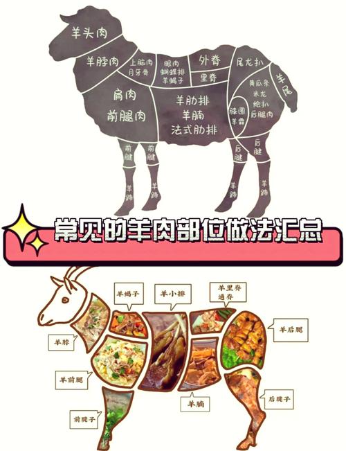 羊肉部位肉详细分解图_冬季羊肉怎么吃?各部位做法与风味大公开 羊肉部位肉详细分解图_冬季羊肉怎么吃?各部位做法与风味大公开