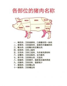 梅条肉在猪身上什么部位_90%瘦肉，香煎红烧皆美味