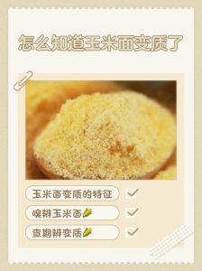 生玉米怎么判断坏了_挑新鲜玉米看这几点！