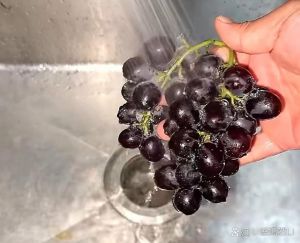 洗葡萄用盐水泡几分钟_面粉小苏打淘米水，干净营养好方法