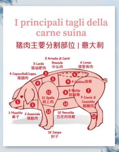 猪各部位肉的名称图解_煎炒炖涮，选对才美味！