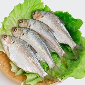 黄刺鱼是海鲫鱼吗_美味营养，吉祥象征