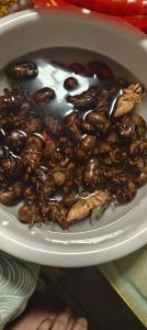 猴的脑袋浇热油是哪的做法_清朝残忍猴脑浇油，已被列为禁菜