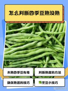 咋判断豆角熟不熟_豆角熟不熟？看颜色闻声音尝一尝！