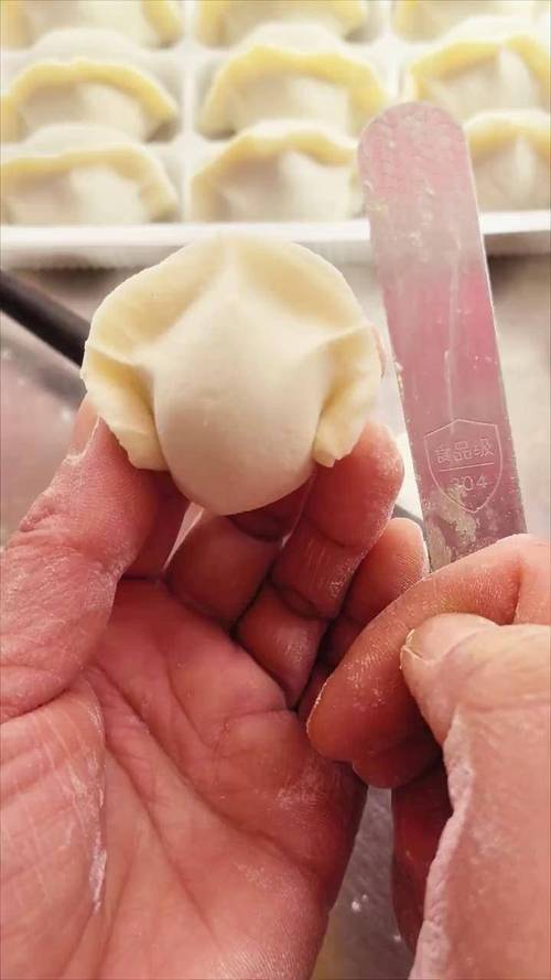 矩形饺子皮包饺子步骤图解_方形饺子皮，创意包饺，速冻收纳，美味煮法