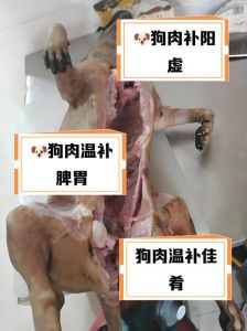 狗肉和羊肉味道像吗_狗肉鲜嫩无膻味，羊肉温补易接受