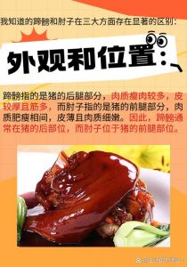 蹄髈是什么部位图解_猪肘前肘后肘做法口感大不同
