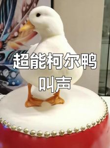 鸭子会叫吗_鸭子嘎嘎叫有讲究，表达不同意思