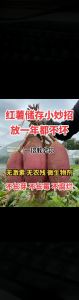 红薯洗干净影响储存吗_红薯带泥存更久，别洗皮膜易发霉