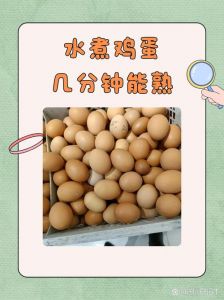 冷水煮鸡蛋几分钟熟_煮鸡蛋冷水下锅不易破，口感佳，剥壳易