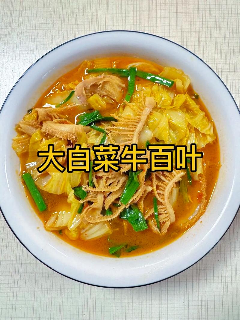 大烧百叶的做法大全家常_青椒炒百叶，低脂高蛋白，简单又营养！