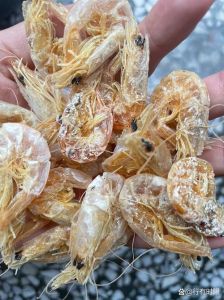 海虾后背黄黄的是什么_虾黄营养高胆固醇也高，要适量食用