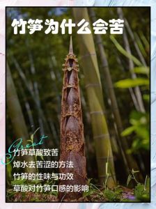 9月份的竹笋为什么会苦_焯水浸泡尝鲜