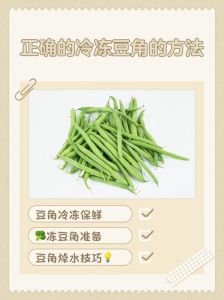 冷冻豆角的正确做法_素炒豆角冷冻保存做法