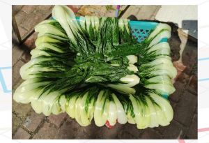 晒白菜干的家常做法_选材晾晒炖煮，风味十足！