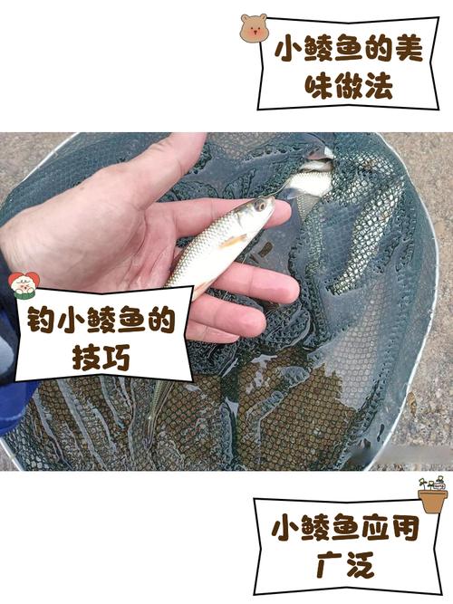 鳊鱼有没有小刺_鳊鱼刺少肉鲜 营养丰富但去鳞费时