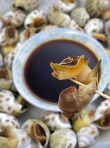 花螺冷水下锅10分钟能熟吗_花螺冷水煮多久？5-6分钟口感最佳！