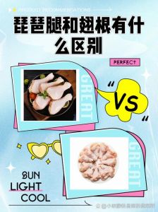 翅根跟琵琶腿的区别_鸡翅根琵琶腿有啥区别？