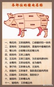 精品五花肉是哪个部位的肉_五花肉上五花下五花区别及选购烹饪技巧