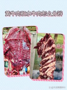 没有奶香味的黄牛肉是不是假的_莫信奶香，看色泽弹性能辨真！