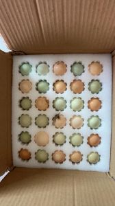 白壳蛋粉壳蛋与绿壳蛋的区别_鸡蛋壳颜色白粉绿蛋的区别与营养