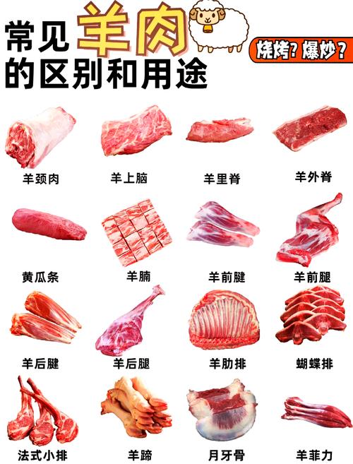 羊肉大三叉是什么部位_肥瘦适中,煎烤皆宜的上品 羊肉大三叉是什么部位_肥瘦适中,煎烤皆宜的上品