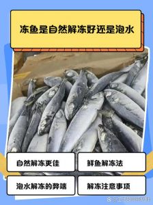 在寒冷的冬天湖里的鱼会冬眠吗_鱼儿并非冬眠，而是变温休眠节能过冬