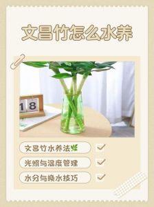 北方竹子怎样清除干净_砍断喷药挖隔离沟，芝麻抑制再生
