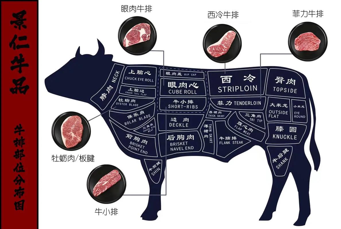 牛底板肉是哪个部位_牛里脊上脑涮火锅，牛底板肉稍老