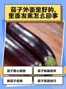 茄子煮熟后为什么会变黑_茄子蒸后变黑？用醋水泡就解决了！