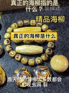 海柳属于有机宝石吗_深海宝石，珍贵有限需保护