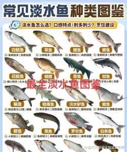 鲢鱼和鳙鱼哪个刺多_鲢鱼鳙鱼哪个好？胖头鱼刺少汤鲜