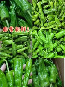 青椒的品种有哪些_辣椒口感形状颜色有关，选对品种味道佳