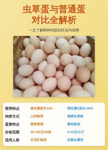 青壳鸡蛋与普通鸡蛋有何区别_青壳蛋营养更丰富，口感鲜美！