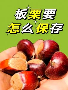 熟板栗如何保存_常温短时，冷藏延周，冷冻长存