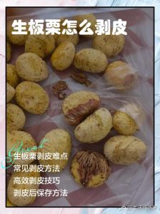 煮熟的栗子怎么好剥皮_快速剥栗子，皮薄好剥！