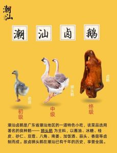卤鹅的最正宗做法_熬高汤卤鹅，掌握火候与香料，耐心入味