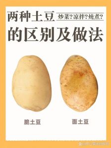 土豆脆脆的是没熟吗_脆土豆咋判断熟没熟？