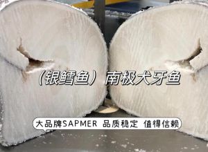 鳕鱼属于深海鱼吗_鳕鱼非深海鱼，营养高需保护