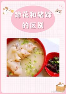 蹄花和猪蹄有什么区别_部位不同，风味各异