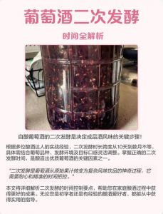 葡萄酒二次发酵的正确方法_自制葡萄酒二次发酵技巧