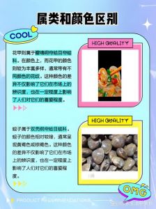 蛤蜊属于花甲吗_花甲蛤蜊有啥不同？